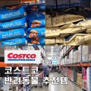 강아지와 고양이 | 코스트코 추천템 고양이 강아지사료 간식 반려동물용품 가격 할인상품