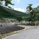 석문오토캠핑장 이미지