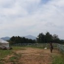 주주농장 이미지