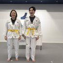 태권도 다움 이미지