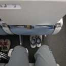 부르나이 | 2025 호주 여행 후기 (2) - 멜버른 로얄브루나이 항공 후기, 반다르세리베가완공항 라운지 후기