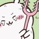 최애멍 이미지