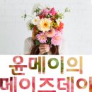 메이의보울 이미지