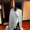 노다지천냥마트문화점 | 3월 일상 봄 기다리는 중