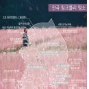 동읍424 | &lt;우리나라/여행정보/전국&gt;전국 핑크뮬리 스팟 리스트 및 지도