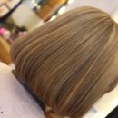 브라운버즈 이미지