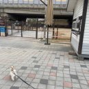 금곡동반려견놀이터 이미지