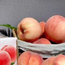 옥천상회 이미지