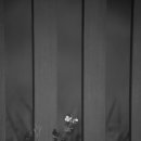 다산생태공원 이미지