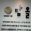 담올