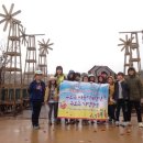 배고픈사자 협동조합 이미지