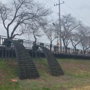 금산이네 이미지