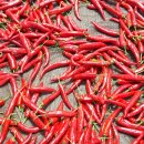 일등미생물 비료 이미지