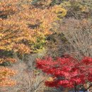 강산농장 이미지