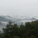 매전면사무소 이미지