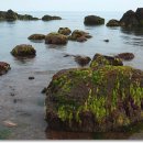 녹동골프연습장 이미지