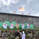 짱구가짱 | 제주여행 한경면 &#34;제주 짱구 팝업스토어&#34; 후기_짱구엽다❤️