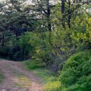 한물결의원 이미지