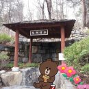 펜션샐비어