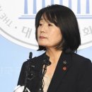 나라정보인터내셔널 이미지