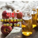 [식초 제대로 활용하는 노하우 모음] 이미지