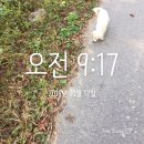 춘천 자전거 대여점 이미지