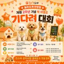 놀러오개 미용센터 | [놀러오개 안양점] 울 애기 천재 아냐?! 놀러오개...기다려대회’ 생생 후기 (feat. 카오 3등 수상...