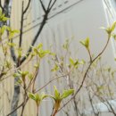 플레이 빌리어드 | 다이나믹하고 재미있는(?) 요즘....