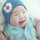 하율 이미지
