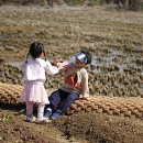 보라농장2 | [1년 전 오늘] 주말농장 자동사냥, 동행서울친환경농장 수역이마을 보라농장