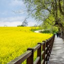 호암농장2 이미지