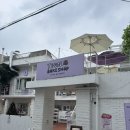 고양이샵 | 서울 연남동 고양이가 있는 카페 연베이크샵 후기