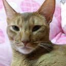 역전앞오락실 이미지