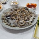 문형열 | 무안 여행 / 황토갯벌랜드 / 자매수산 후기 - 낙지에 온몸을 포기한 사나이