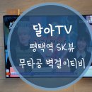 평택역 SK VIEW | 평택역 SK뷰 무타공 벽걸이 티비 설치 전국 지점이 있는 달아TV