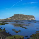 한림교통(주) | 제주도 지역별 맞춤 신혼여행 준비 (기후, 교통, 날씨)