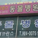 고양동물병원 이미지