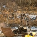 마이포레중미산 이미지