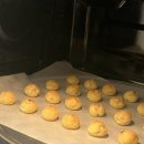 풀스테이더제주 이미지