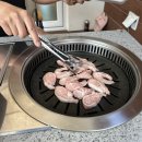 해머 717 | 거제 독채 풀 빌라 “해머 717”