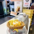 디저트39 부산신라대점 | 부산 대표 빵집 비엔씨제과 광복점｜생크림케이크 후기｜국제시장 카페·부산 중구 카페 추천