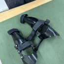 고려보조기 | 강아지 맞춤 보조기 은해펫 자주 미끄러지는 강아지 쓸개골 탈구 보호대 하고 리얼 안심 후기