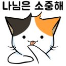 구포동물병원 이미지