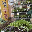 한농종묘 - 무주군 안성로 275-7 | 한농종묘