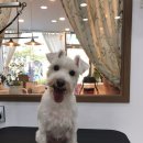 덕이 미장원 이미지