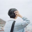 중앙상사 이미지