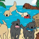 윤보스독스 이미지