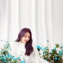 라비앙헤어 이미지