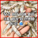 남해홍어&밥뚝딱김치찌개 | 우리 바다 남해 멸치 3종, 밥상 위 인생템 등극!