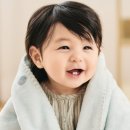 하루 마이데일리